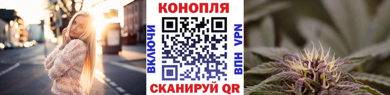 Канабис сатива  купить   Реж 